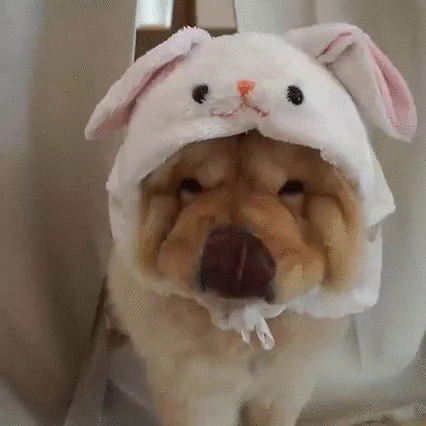 bunny easter GIF