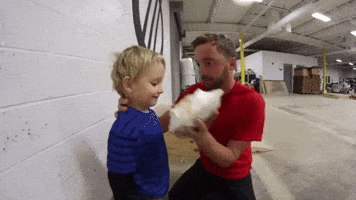 Piefacecommunity GIF