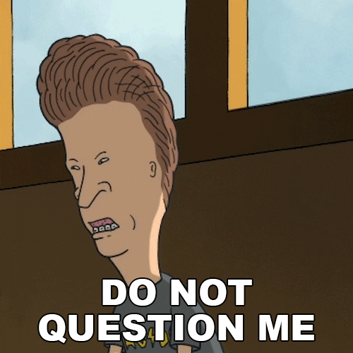 Dont Talk Back Beavis And Butthead GIF by Paramount+