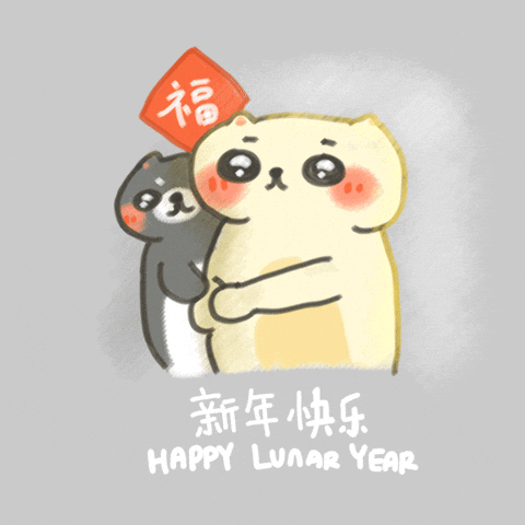 Chinese New Year Good Luck GIF