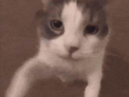 Hande Baladin Opucuk GIF