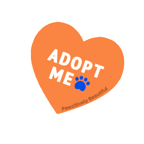 Ying Yang Love Sticker by Pawzitively  Beautiful