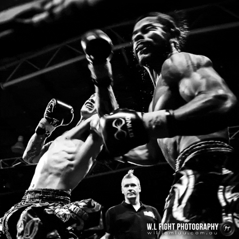 Muay Thai Knockout GIF by wlfightphotography