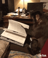 excited book GIF by TikTok