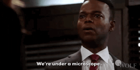 giphy.gif?cid=6c09b9528799d1166aee0de52f