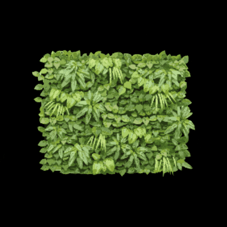 New York Christmas GIF by Ease Hospitality