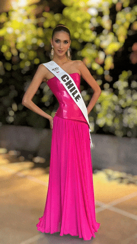 Andrea Ortiz GIF by Visible Chile