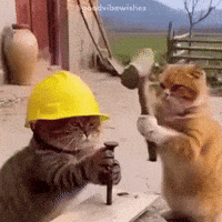 Cat Hammer GIF