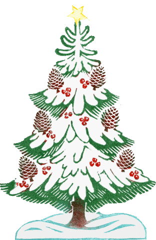 Wintergrün Sticker by BrandstaetterVerlag