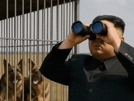 North Korea GIF