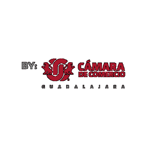 Camaradecomercio Sticker by Cámara de Comercio de Guadalajara