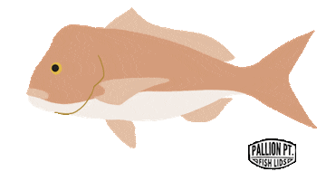 New Zealand Ocean Sticker by Pallion Point