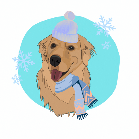 Frio GIF