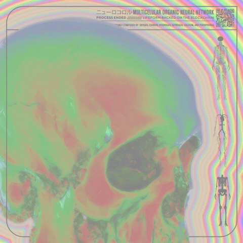Rainbow Skull GIF