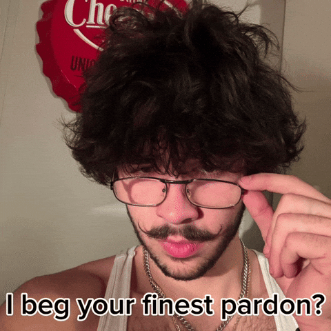 Excuse Me What GIF
