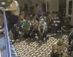 Wwe GIF