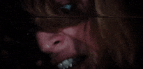 Halloween GIF
