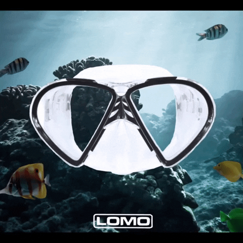 Mask Diving GIF by Lomo Watersport