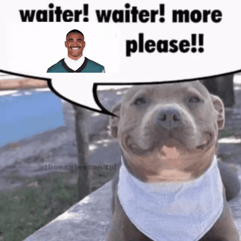 Philadelphia Eagles GIF