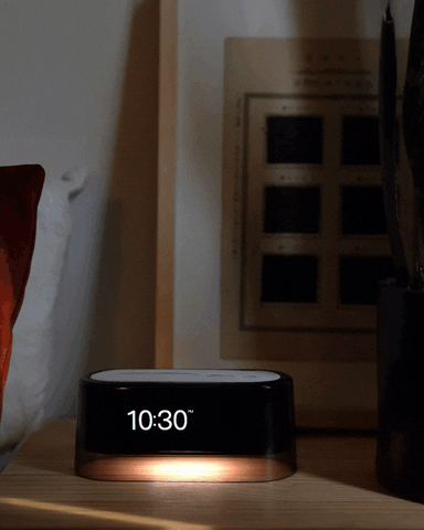 loftie GIF