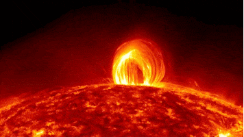 sun astronomy GIF