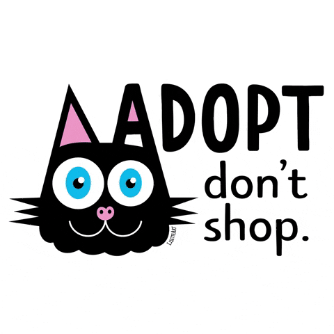 Adopt Cat Rescue GIF by LisetteArt