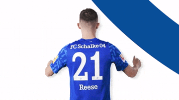 German Soccer Football GIF by FC Schalke 04