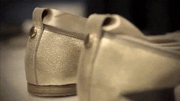 Ballerinas GIF by Josefinas