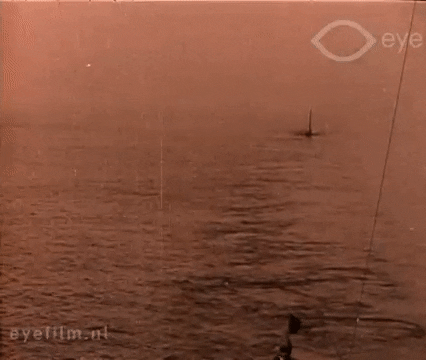 Atlantic Fleet Gifs Find Share On Giphy