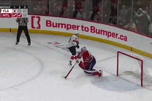 Ice Hockey GIF