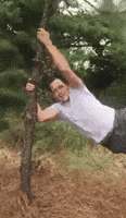 Wind Windy Weather GIF Wind Windy Weather GIF