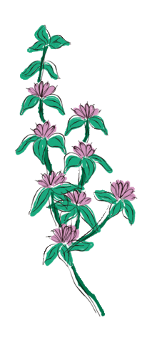 Yerba Verdeflor Sticker