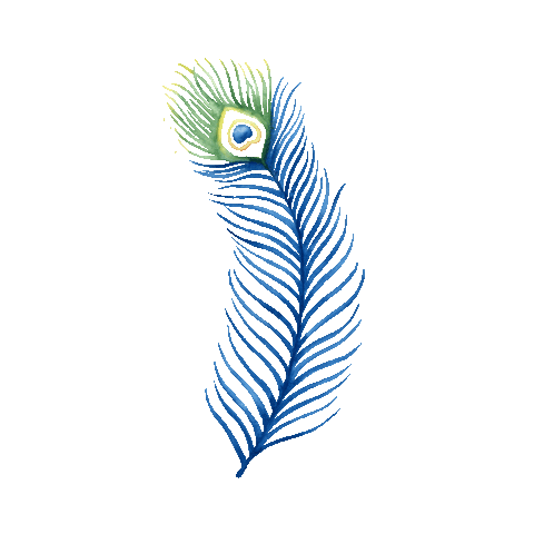 Peacock Feather Bird Sticker for iOS &amp; Android | GIPHY