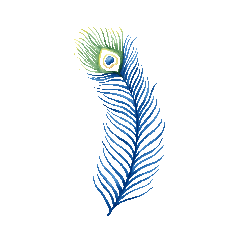 Peacock Feather Bird Sticker for iOS & Android | GIPHY