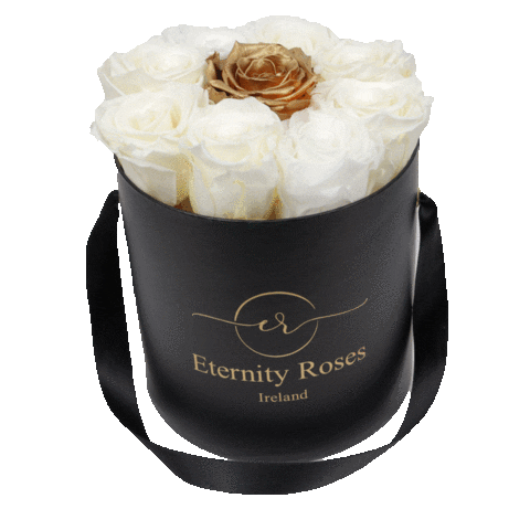 Eternity Roses Sticker