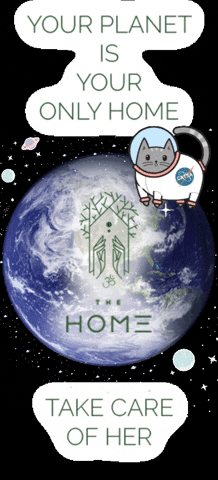 THE_Home stars home help earth GIF