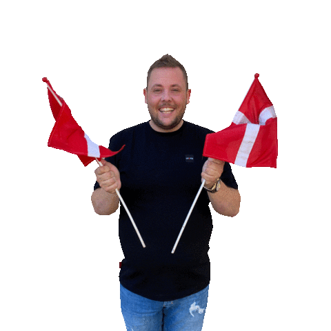 Flag Danmark Sticker by MATHstore