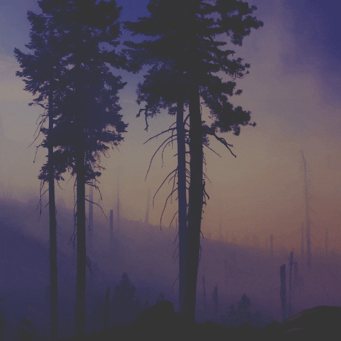 Venture Students GIF