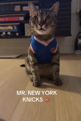 Knicks Orange And Blue GIF