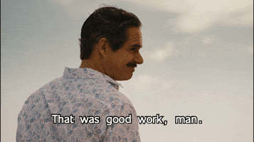 TV gif. Tony Dalton as Lalo in Better Call Saul stands in profile before the sky, as he smiles and says, "That was good work, man."