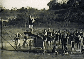 texasarchive texas swimming austin dive GIF