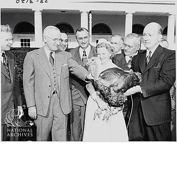 Thanksgiving Turkey GIF by US National Archives