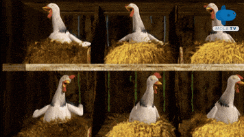 Happy Animation GIF by Mola TV Kids