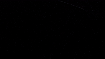 GIF by Originals