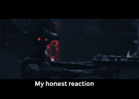 Reaction GIF