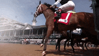 Ascot Racecourse Gif Find Share On Giphy Ascot Racecourse Gif Find Share On Giphy