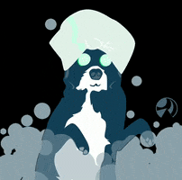 empressavenuemedia GIF