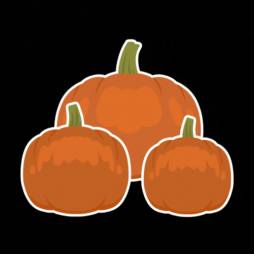 Hallmark Channel Fallharvest Fall Harvest Autumn GIFs Find & Share on
