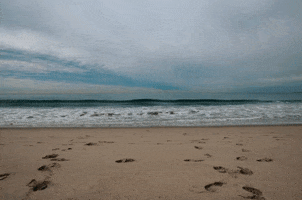 California GIF