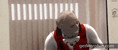 Happy Star Wars GIF by Morphin